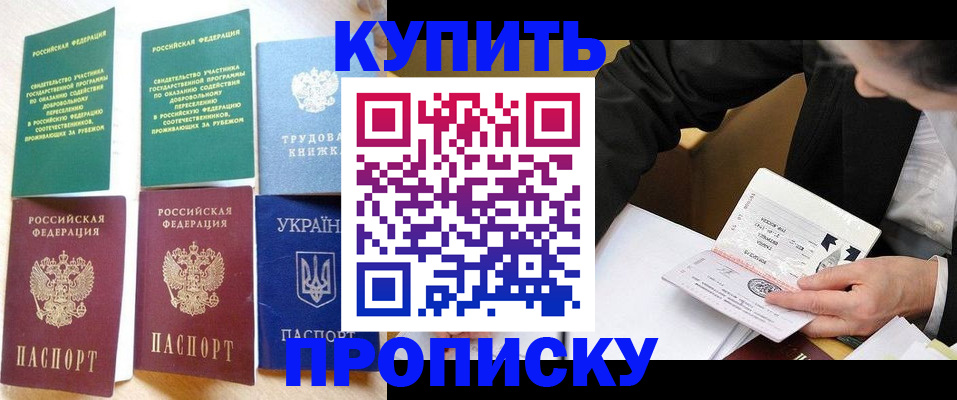 прописка для школы в Кировске